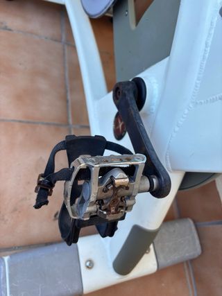 Bicicleta Estática Schwinn Carbon Blue