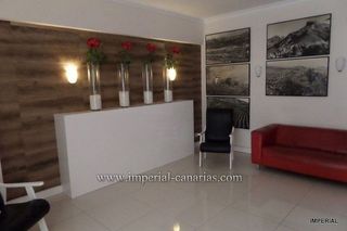 Estudio en alquiler en Zona Martiánez en Puerto de la Cruz