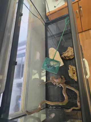 Acuario 80L mueble y Accesorios Se admiten ofertas