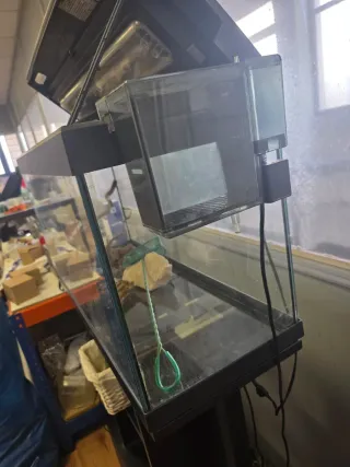 Acuario 80L mueble y Accesorios Se admiten ofertas