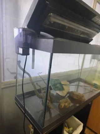 Acuario 80L mueble y Accesorios Se admiten ofertas