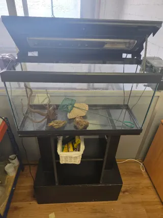 Acuario 80L mueble y Accesorios Se admiten ofertas