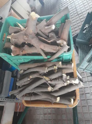 Leña para chimenea o barbacoa