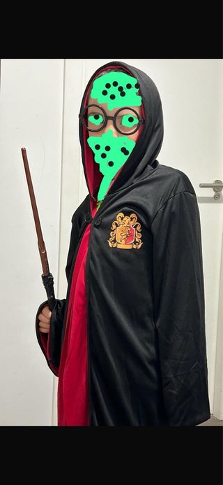 Disfraz Harry Potter Talla Única