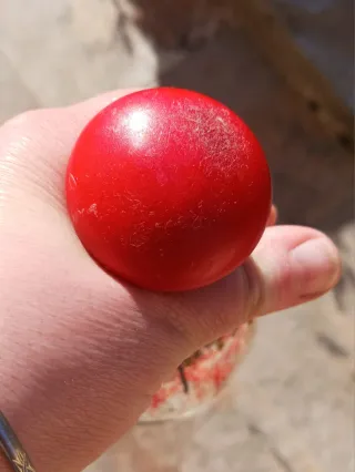 Pack 2 Botellas Decorativas Vintage Lacre