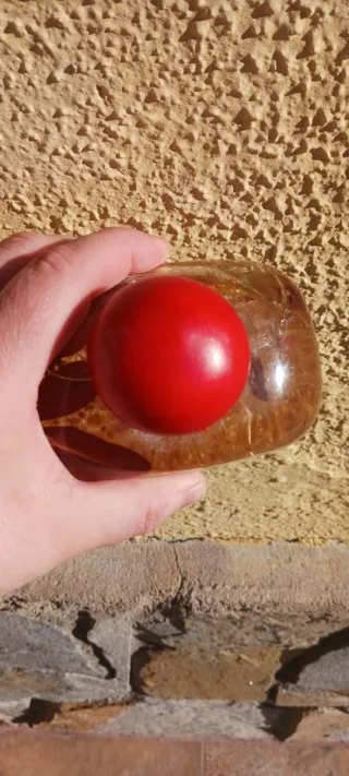 Pack 2 Botellas Decorativas Vintage Lacre