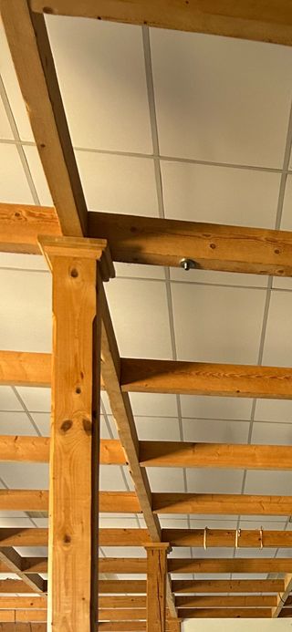 Estructura de madera 1000m2