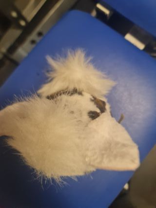 Furby Peluche Juguete Vintage