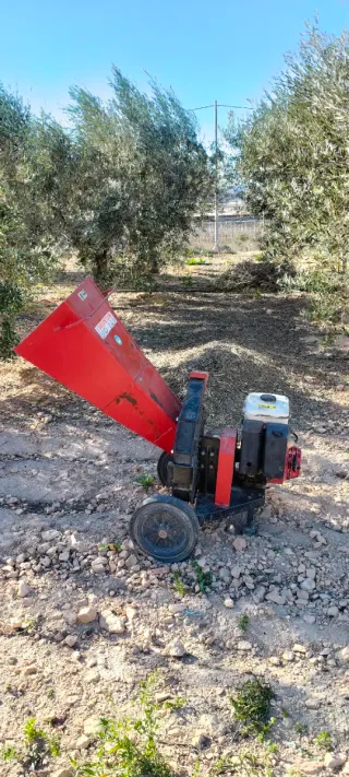 Biotriturador Honda Bio 200