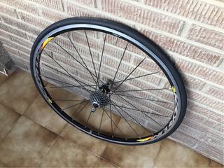 Urge Ruedas Mavic Ksyrium Equipe