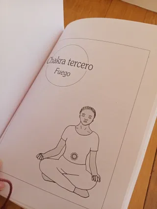 Guía Práctica de los Chakras - Robin Book