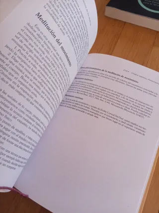 Guía Práctica de los Chakras - Robin Book