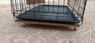 Jaula Perro con Bandeja y Ruedas