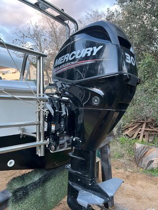 Embarcacion rigida con remolque