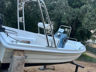 Embarcacion rigida con remolque