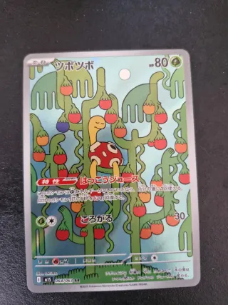 Carta Pokémon Shuckle AR 064/063