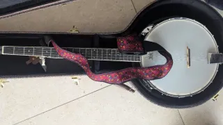 Banjo con estuche rígido