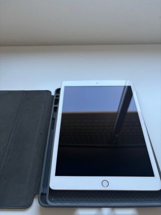 Apple iPad Blanco