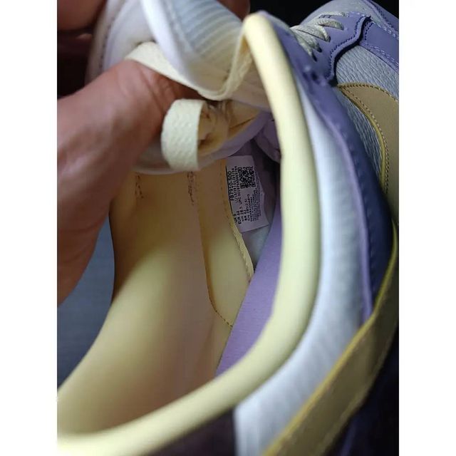 Nike Dunk Low Violeta y Blanco Talla 44