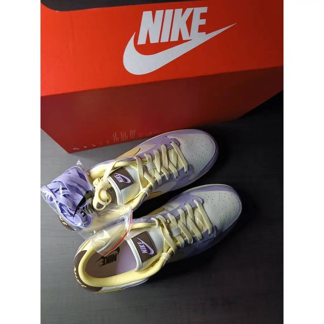 Nike Dunk Low Violeta y Blanco Talla 44