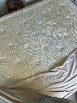 Cama Matrimonial +colchón Regalo cajonera grande