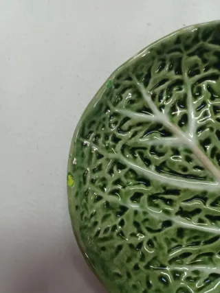 Azeitoneira em forma de folha de couve