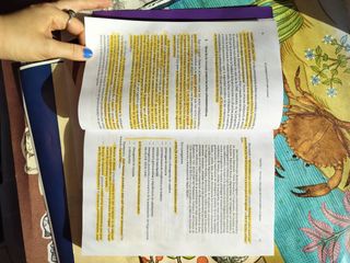 Libro UNED El extranjero en el Derecho español