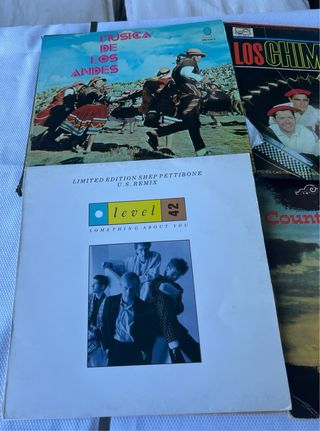 Lote Vinilos Varios Géneros
