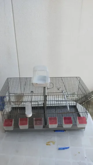 Jaula de cría para pájaros de 60 rls