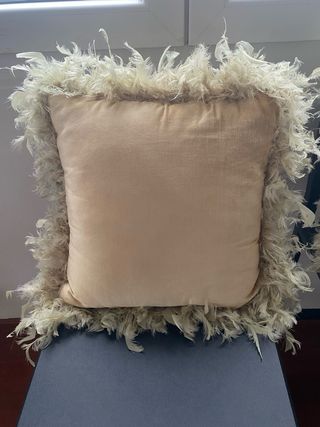 Cojines mas relleno con plumas dorado
