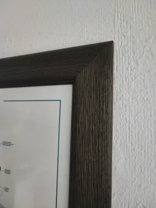 Cuadro Sistema Esqueletico (los dos juntos)