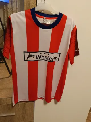 Camiseta Griezmann talla 12 años