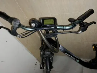 Bicicleta Eléctrica SAXONETTE COMFORT 250