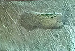 Anillo Plata Vintage 70s Diseño Textura T19