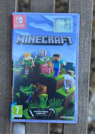 Minecraft Nintendo Switch