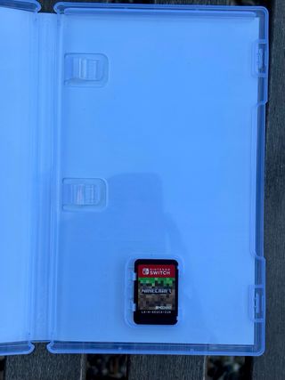 Minecraft Nintendo Switch