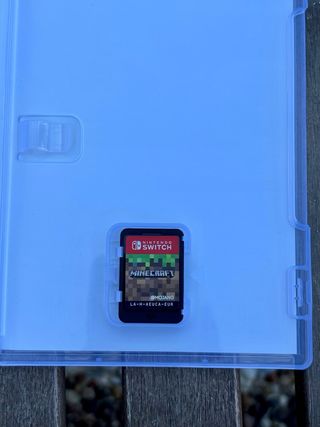 Minecraft Nintendo Switch