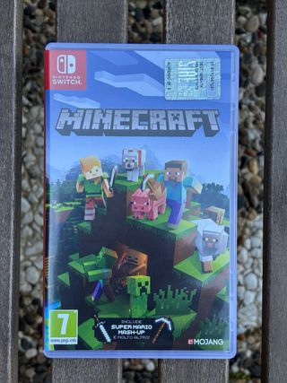 Minecraft Nintendo Switch