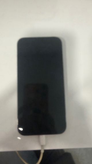 iPhone 13 Pro Max 256GB Argento