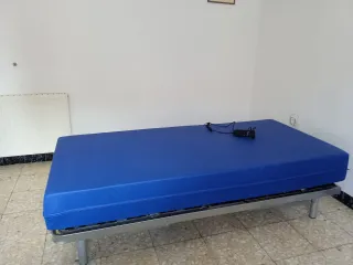 Cama articulada + colchón antiescaras+ lámina