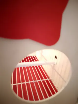 Lote 2 jaulas concurso Pedros blanca y roja