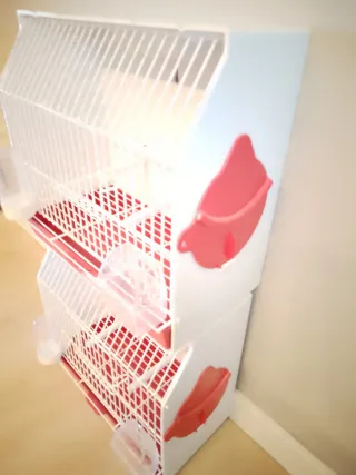 Lote 2 jaulas concurso Pedros blanca y roja