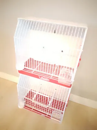 Lote 2 jaulas concurso Pedros blanca y roja