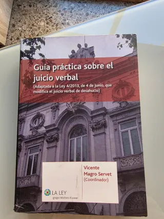 Guía práctica sobre el juicio verbal (Spanish E...