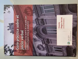Guía práctica sobre el juicio verbal (Spanish E...