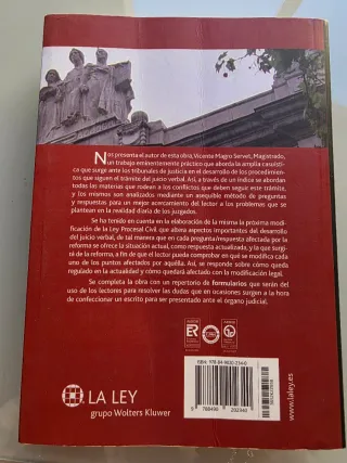 Guía práctica sobre el juicio verbal (Spanish E...