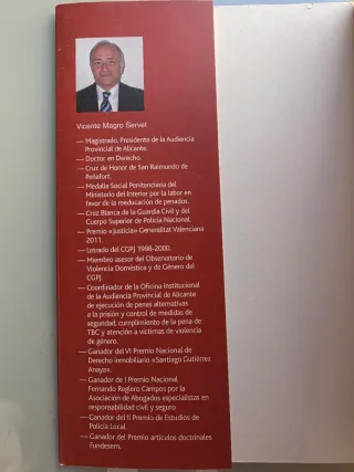 Guía práctica sobre el juicio verbal (Spanish E...