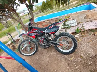 Beta RRT Motocross sin papeles para circuito