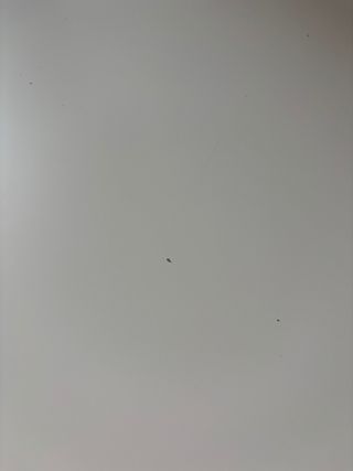 Escritorio para habitación