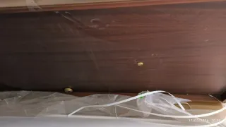 Puerta exterior de madera